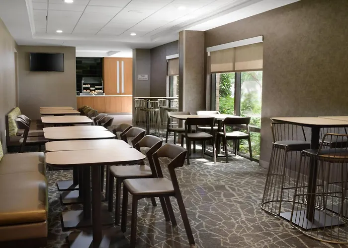 Springhill Suites Dallas Addison/Quorum Drive